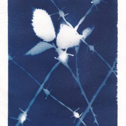 LwA_Artwork_Code_17-1